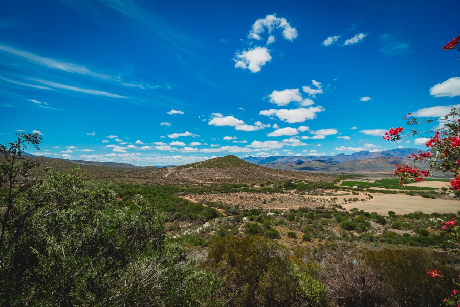 5 Bedroom Property for Sale in De Rust Western Cape